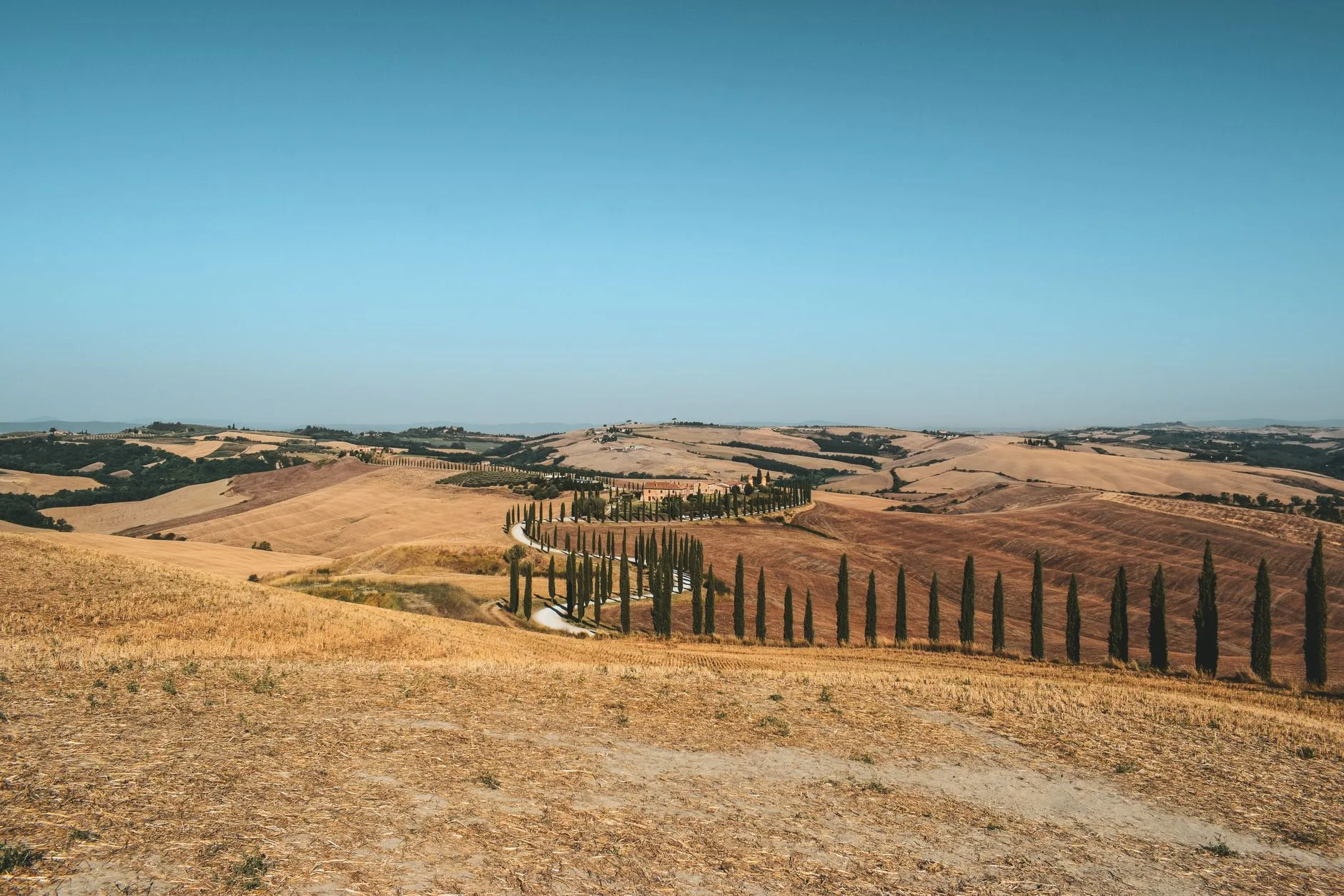 Paysage de collines toscanes avec des cyprès le long d'une route de campagne
