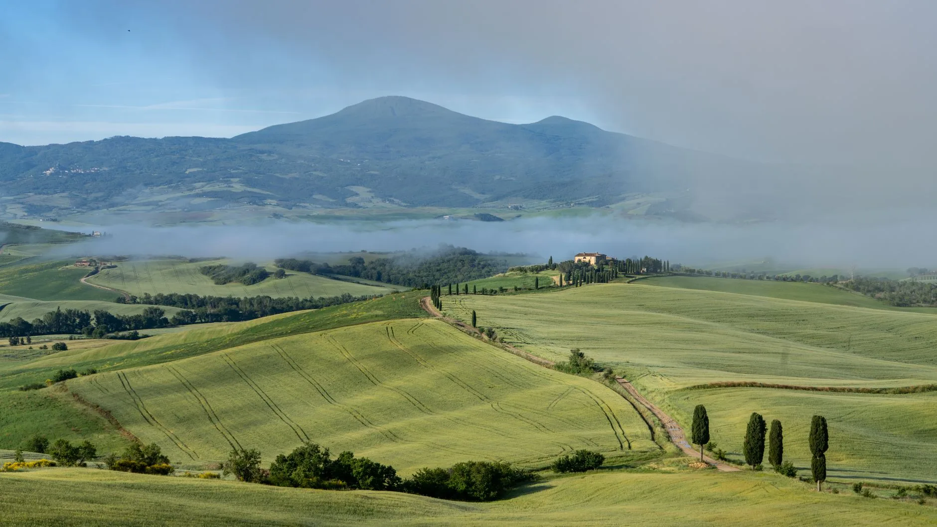Collines ondulées de Toscane avec cyprès et route de campagne