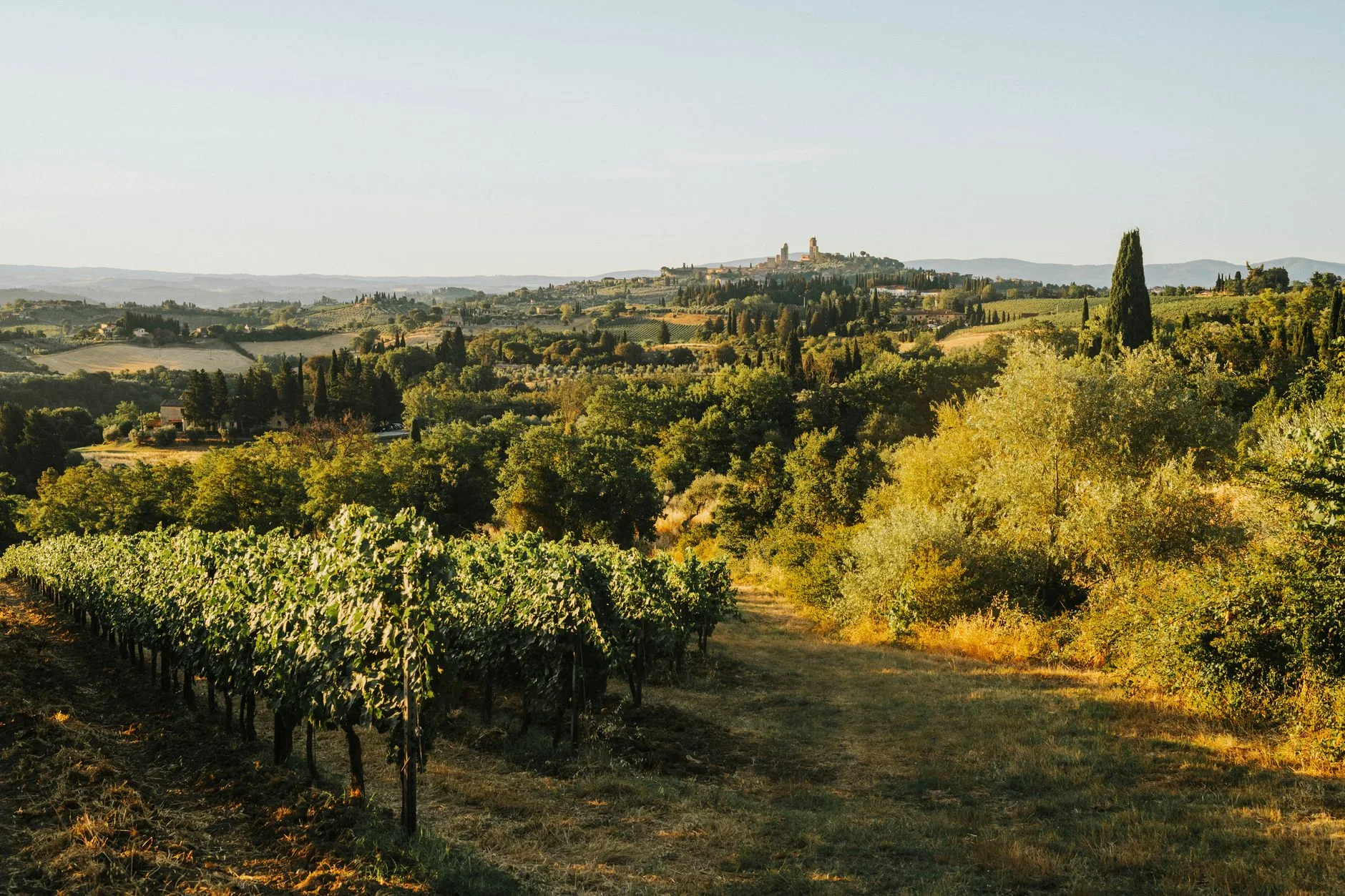 Vignobles et collines du Chianti en Toscane
